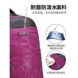 後後背包女旅行雙肩包女士外出旅遊輕便高顔值大容量戶外徒步登山包男