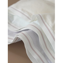 二階段少女文胸 50支超柔棉女童胸罩 固定分體圓杯學生 小背心