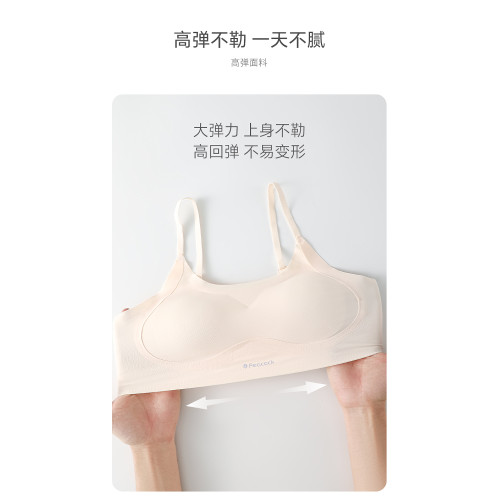 貓人少女青春期初高中生內衣運動固定杯透氣防震速乾背心運動文胸