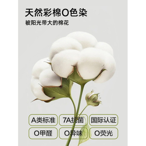 青少年女生內衣女純棉A類初高中學生少女文胸青春發育期彩棉背心