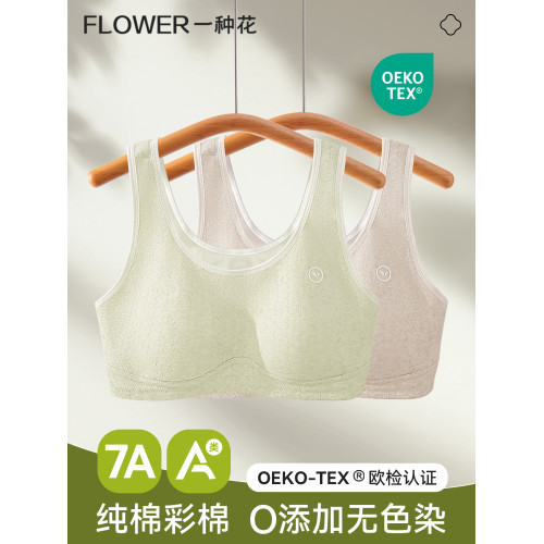 青少年女生內衣女純棉A類初高中學生少女文胸青春發育期彩棉背心
