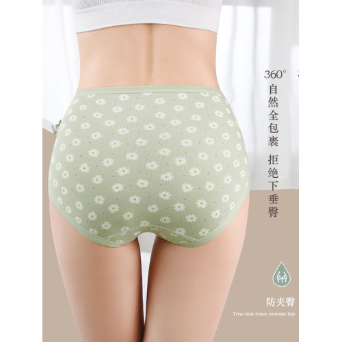 內褲女純棉高腰收腹提臀少女士大碼印花透氣抗菌全棉三角短褲新款