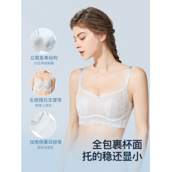 都市麗人大胸顯小法式浪漫蕾絲內衣女薄款無鋼圈聚攏收副乳文胸罩