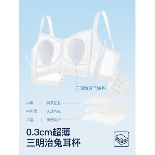 都市麗人大胸顯小法式浪漫蕾絲內衣女薄款無鋼圈聚攏收副乳文胸罩 都市麗人大胸顯小法式浪漫蕾絲內衣女薄款無鋼圈聚攏收副乳文胸罩