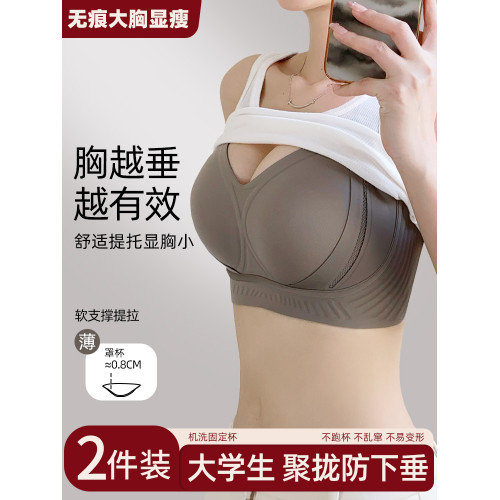 無痕大胸顯小內衣女提拉聚攏防下垂收副乳調整型固定杯文胸罩薄款