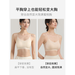 平胸專用固定杯細肩帶粉底液內衣女美背無痕2026新款小胸顯大聚攏