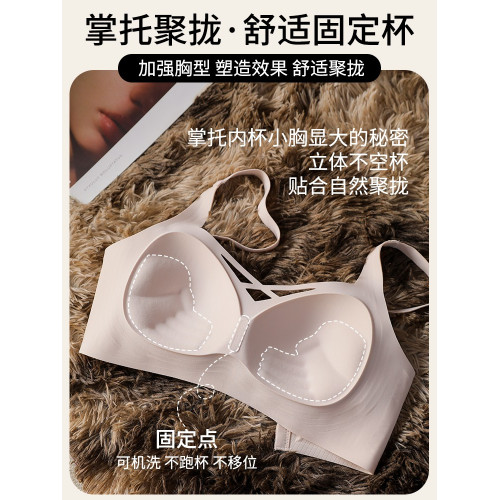 內衣女小胸聚攏收副乳防下垂顯大2026新款固定杯無鋼圈無痕文胸罩 內衣女小胸聚攏收副乳防下垂顯大2026新款固定杯無鋼圈無痕文胸罩