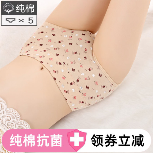 內褲女中腰女生純棉大碼2026新款女士小平角收腹提臀全棉三角褲頭