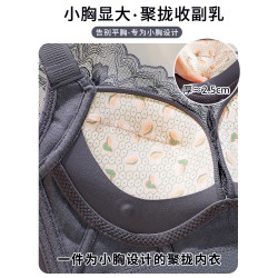 雅鹿調整型矯正內衣女小胸聚攏顯大收副乳無鋼圈防下垂上托文胸罩