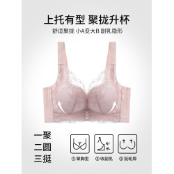 婷美2026新款蕾絲小胸提拉聚攏文胸調整型收副乳防下垂無鋼圈內衣