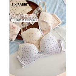 六隻兔子內衣女小胸聚攏舒適透氣胸罩收副乳無鋼圈甜美少女風文胸