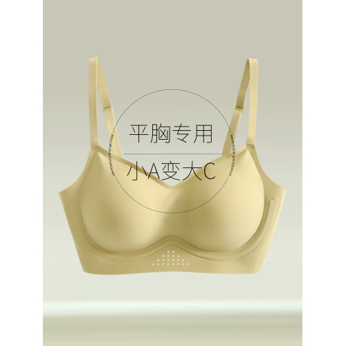 平胸專用小胸顯大加厚隱形無痕內衣女2026新款美背聚攏無鋼圈文胸