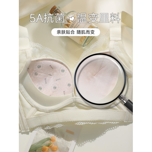 浪莎內衣女士小胸顯大聚攏2026新款收副乳防下垂無鋼圈蕾絲文胸DT
