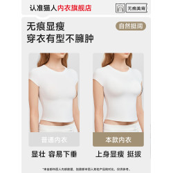 貓人內衣女士收副乳防外擴上托防下垂無鋼圈小胸顯大文胸罩秋冬款