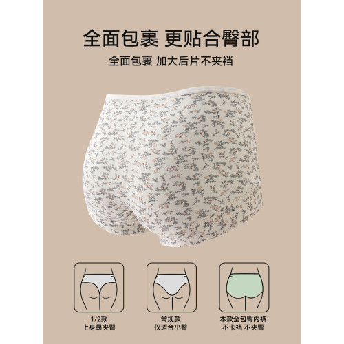 內褲女款純棉2025新款女士全棉抗菌加長襠全包臀女生平角四角短褲