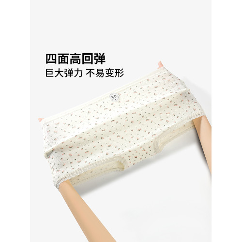 南極人純棉內褲女士2026新款全棉襠女款短褲頭平角褲女生四角褲衩