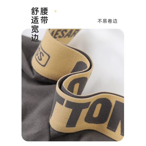 女士平角內褲女生純棉全棉中性女式運動簡約舒適透氣中腰四角短褲