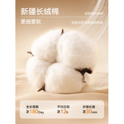 都市麗人大碼A類純棉內褲女10A抑菌底檔無痕防夾臀女生平角短褲