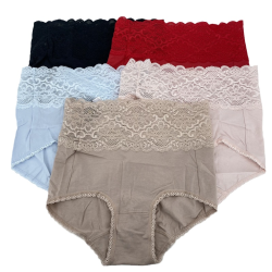 華歌爾經典延續款中腰純色納米抗菌面料蕾絲邊平角內褲WP5659  99