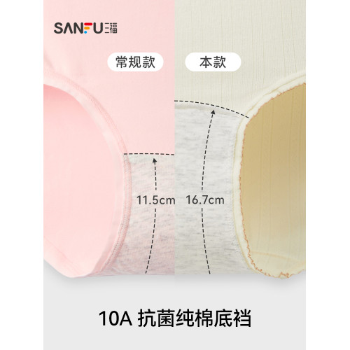 三福女低腰包臀內褲 抗菌純棉加長底襠撞色線半平角褲女503526