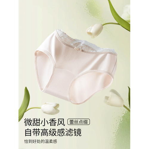 雅鹿甜美女士內褲純棉10a抗菌低腰蕾絲少女生全棉襠三角褲短褲PB