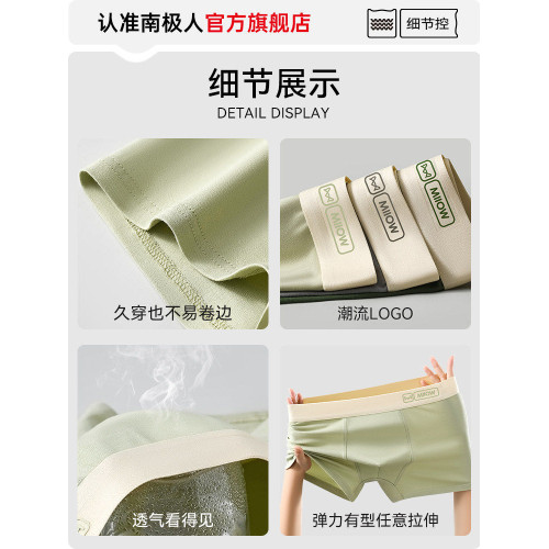 南極人內褲男士純棉抗菌男款透氣平角短褲頭四角褲男生2025新款