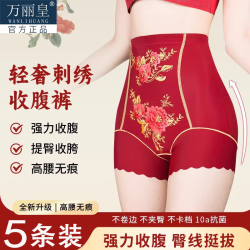 女士內褲輕奢刺綉高腰收腹褲無痕內褲女胖mm大碼平角褲塑形美體褲