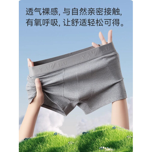 純棉男士內褲平角短褲頭全棉抗菌襠四角褲衩夏季男生加肥佬加大碼