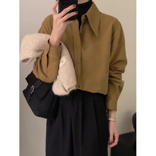 高級磨毛加厚襯衫女秋冬內搭曡穿獨特別致尖領襯衣法式小資打底衫
