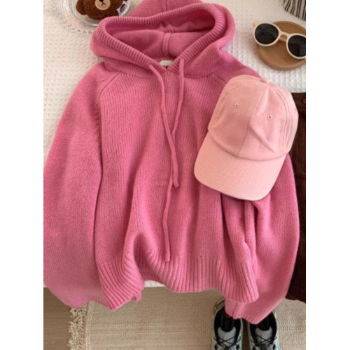 廣州十三行粉色連帽浣熊絨套頭毛衣秋冬軟糯甜美慵懶風羊毛針織衫