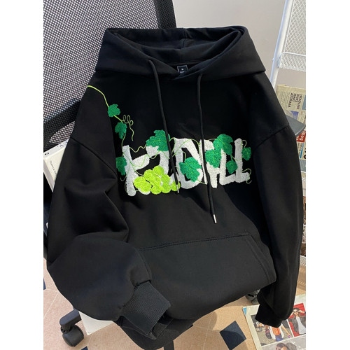 設計感小衆巨好看重工刺綉連帽衛衣女2025新款春秋季薄款寬鬆上衣