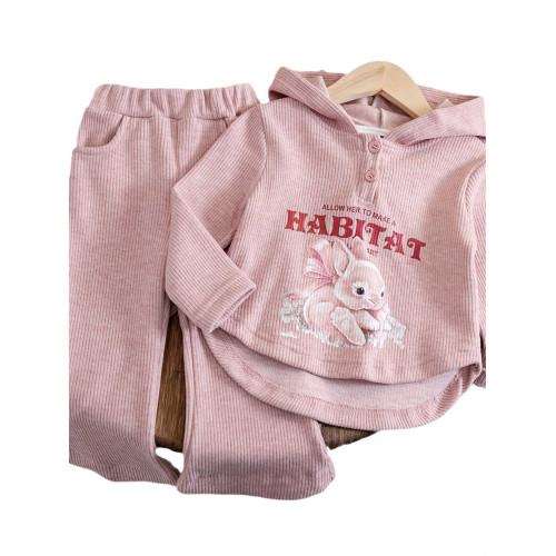 女寶寶韓版卡通套裝春秋裝2025新款小女孩洋氣連帽衛衣休閒兩件套