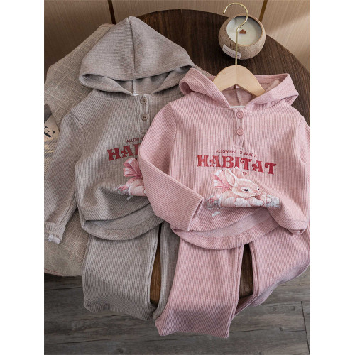 女寶寶韓版卡通套裝春秋裝2025新款小女孩洋氣連帽衛衣休閒兩件套