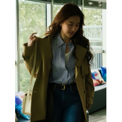 秋冬藍條紋襯衫女款外穿長袖老錢風襯衣設計感小衆炸街高級感女裝