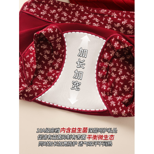 貓人平角內褲女士純棉抗菌紅色本命年2026新款全棉a類女生四角褲
