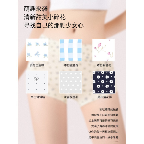 貓人少女平角內褲純棉10a抗菌2026新款初高中生學生女童四角短褲