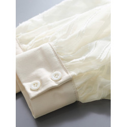 氣質高級感提花半透燈籠袖襯衫女2025秋新款小衆復古繙領別致上衣