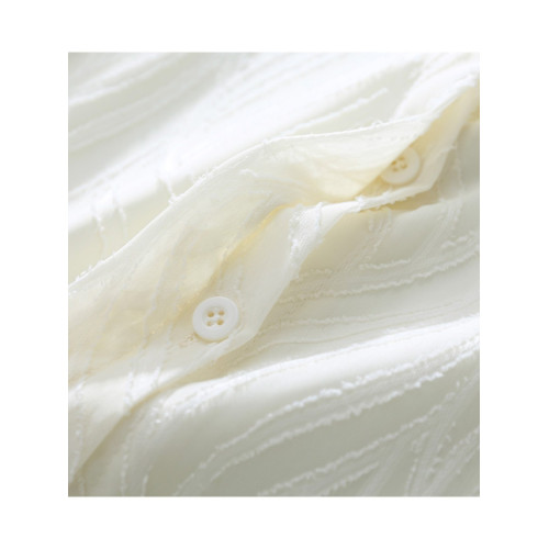 氣質高級感提花半透燈籠袖襯衫女2025秋新款小衆復古繙領別致上衣 氣質高級感提花半透燈籠袖襯衫女2025秋新款小衆復古繙領別致上衣