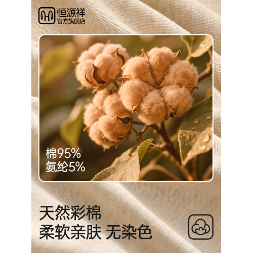 恒源祥男士高級純棉內褲2026新款全棉四角短褲寬鬆防隂囊透氣潮濕