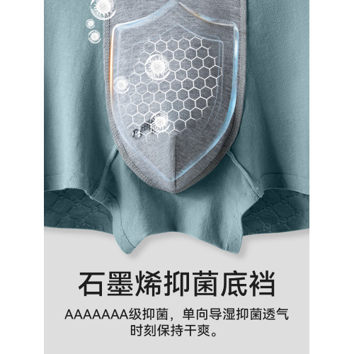 帕蘭朵男士內褲純棉抗菌四角褲衩透氣男生平角運動短褲青少年男款