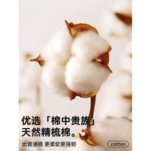 帕蘭朵男士內褲純棉抗菌四角褲衩透氣男生平角運動短褲青少年男款