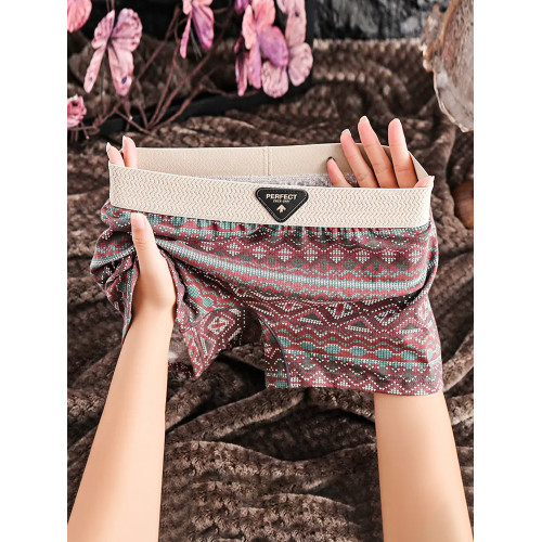 潮流復古印花內褲女士純棉抗菌夏薄款2025新款無痕透氣女生平角褲