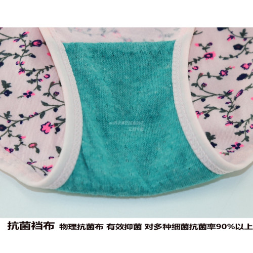 2條裝 AB內褲女彈力棉印花抗菌中高腰時尚舒適媽咪褲小平角褲0108