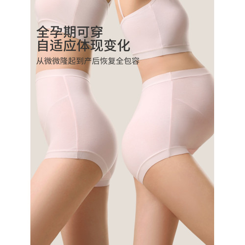 都市麗人孕婦內褲女純棉懷孕期專用抗菌早中晚期産後專用高腰短褲 都市麗人孕婦內褲女純棉懷孕期專用抗菌早中晚期産後專用高腰短褲