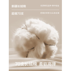 貓人純棉內褲女全棉抗菌襠無痕不夾臀碎花女生小平角褲頭2026新款