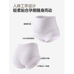 醫用棉孕婦內褲女純棉全棉10A抑菌襠懷孕期專用高腰托腹平角短褲