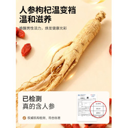 雅鹿純棉男士內褲平角男生短褲頭男款2026新款透氣四角褲衩抗菌襠