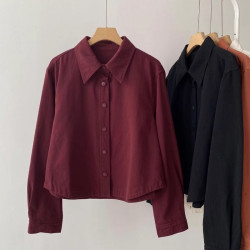 新款韓版加厚磨毛純棉襯衫女秋季新款簡約小個子休閒顯瘦簡約百搭