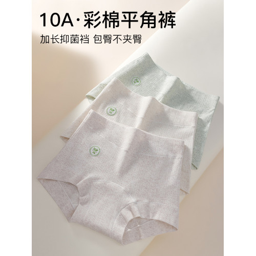 都市麗人平角內褲女士純棉抗菌加長襠2026新款無痕高腰小四角短褲