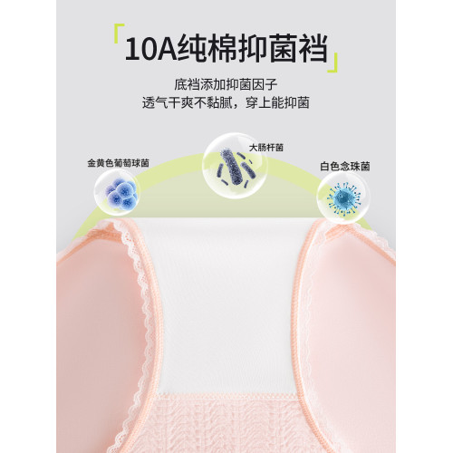 都市麗人孕婦內褲女抗菌全棉加長襠懷孕早中晚期産後專用高腰短褲